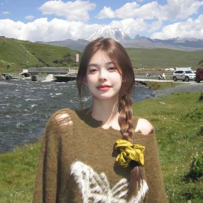 风都侦探剧场版：假面骑士颅骨的肖像